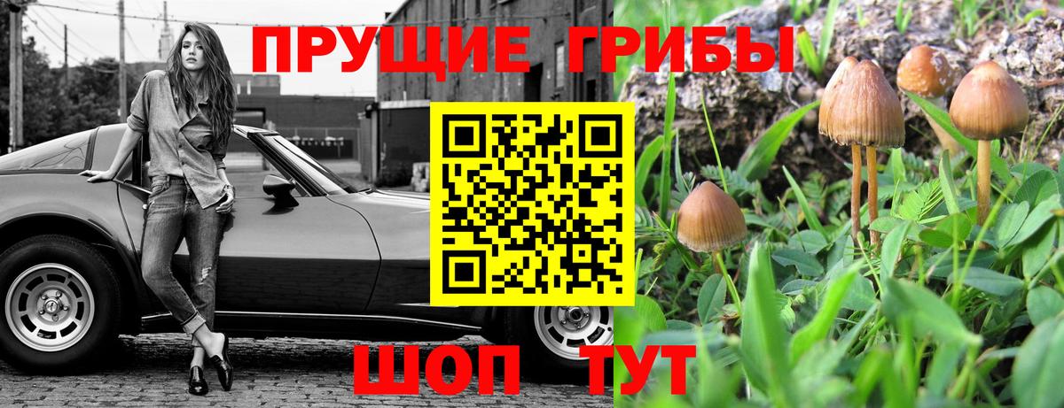 Псилоцибиновые грибы ЛСД Волжский