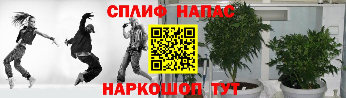 Волжский  Шишки марихуана гибрид  Вход с VPN  Каннабис план  Конопля планчик  Конопля гибрид 